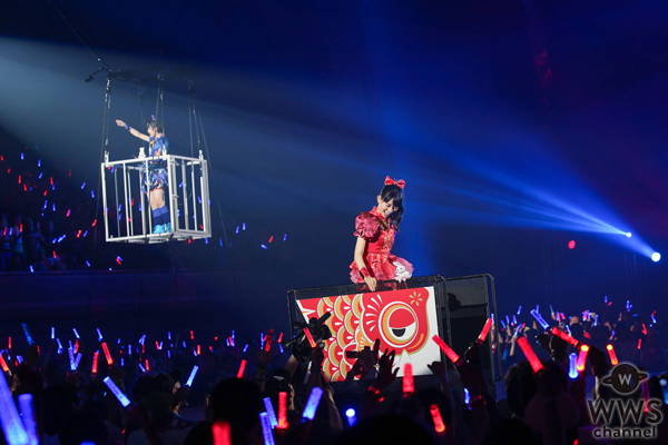 チームしゃちほこが幕張メッセ公演をLINE LIVEにて全曲 最速オンエア！日本武道館公演へ向けて、しゃちサマ2014、2015映像作品も放送！