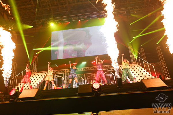 チームしゃちほこが幕張メッセ公演をLINE LIVEにて全曲 最速オンエア！日本武道館公演へ向けて、しゃちサマ2014、2015映像作品も放送！