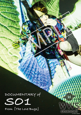 俳優・平間壮一 初の単独DVD DOCUMENTARY of SO1 From「The Love Bugs」が完成！