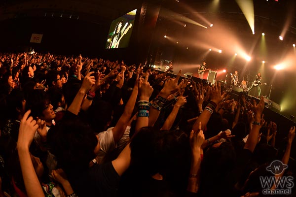 TOTALFATがCOUNTDOWN JAPAN 16/17で魅せつける！フロアと作り上げる最高のお祭り騒ぎが今始まる！