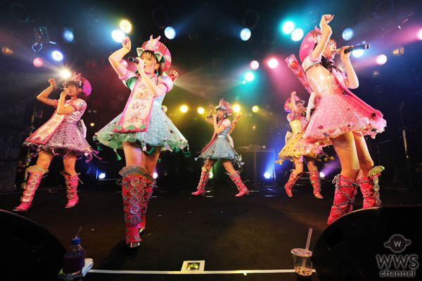 世界標準KAWAIIアイドル「わーすた」 新定期ライブでWHITE JAM SHIROSE × Da-iCE 工藤大輝 提供新曲初披露