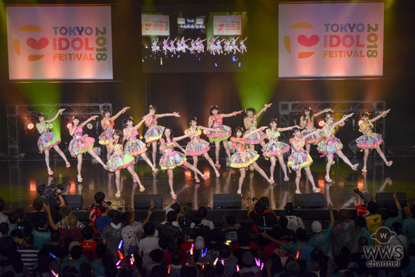 NMB48が『TOKYO IDOL FESTIVAL 2018』に初出場！カトレア組が魅せるパワフルなステージ！
