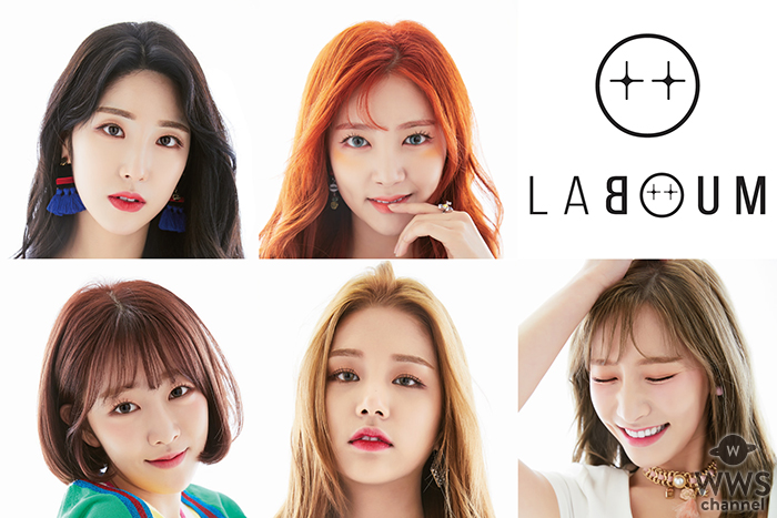 韓国発5人組ガールズグループ、LABOUMが日本メジャーデビュー！11月7日に日本1stシングルのリリースが決定！！