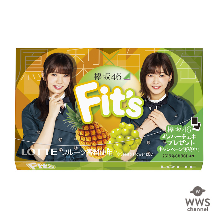 欅坂46とロッテ「Fit's（フィッツ）」が初コラボ！デザインパッケージ3種を全国で発売！！