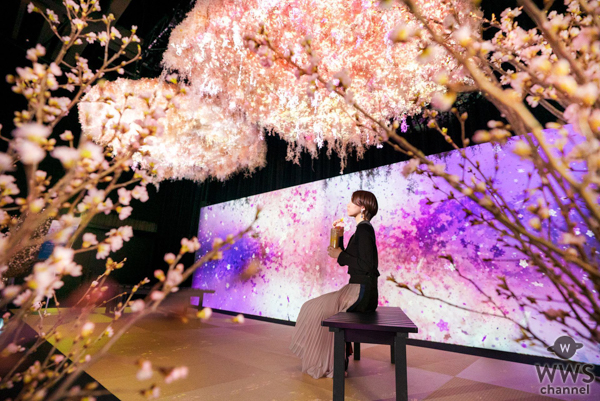 高身長イケメンSOLIDEMOがインスタ映えアート展で花贈りプレミアムイベント開催！