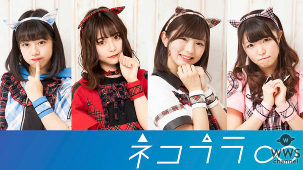 AKB48 Team 8、ナナランド、マジパンら13組、『TOKYO IDOL FESTIVAL 2019(TIF2019)』第2弾出演発表！！
