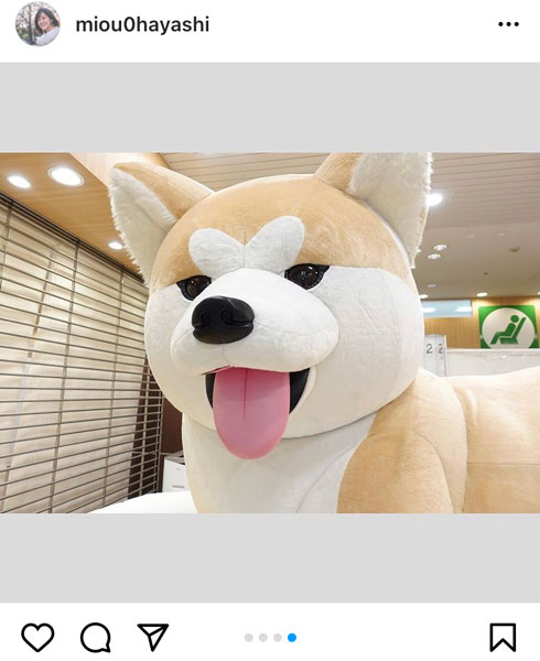 林美桜アナウンサー、八王子駅の巨大な秋田犬とご対面「ふわふわで大きかったです」