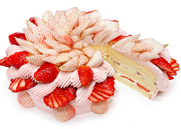 ≪カフェコムサ≫毎月22日がショートケーキの日！2月は「白いちご」と「おすすめのいちご」を使用した限定デザインのショートケーキを発売